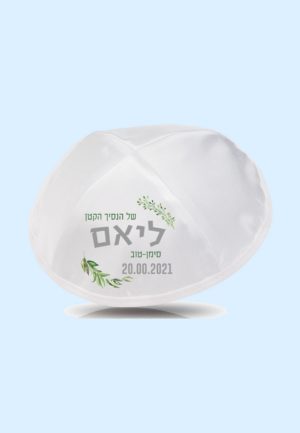 דגם חסידה