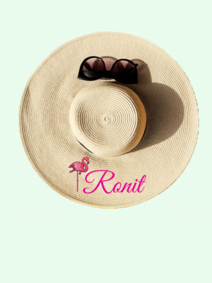 דגם פלמינגו רגל אחת